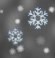 Light snow, Partly cloudy
